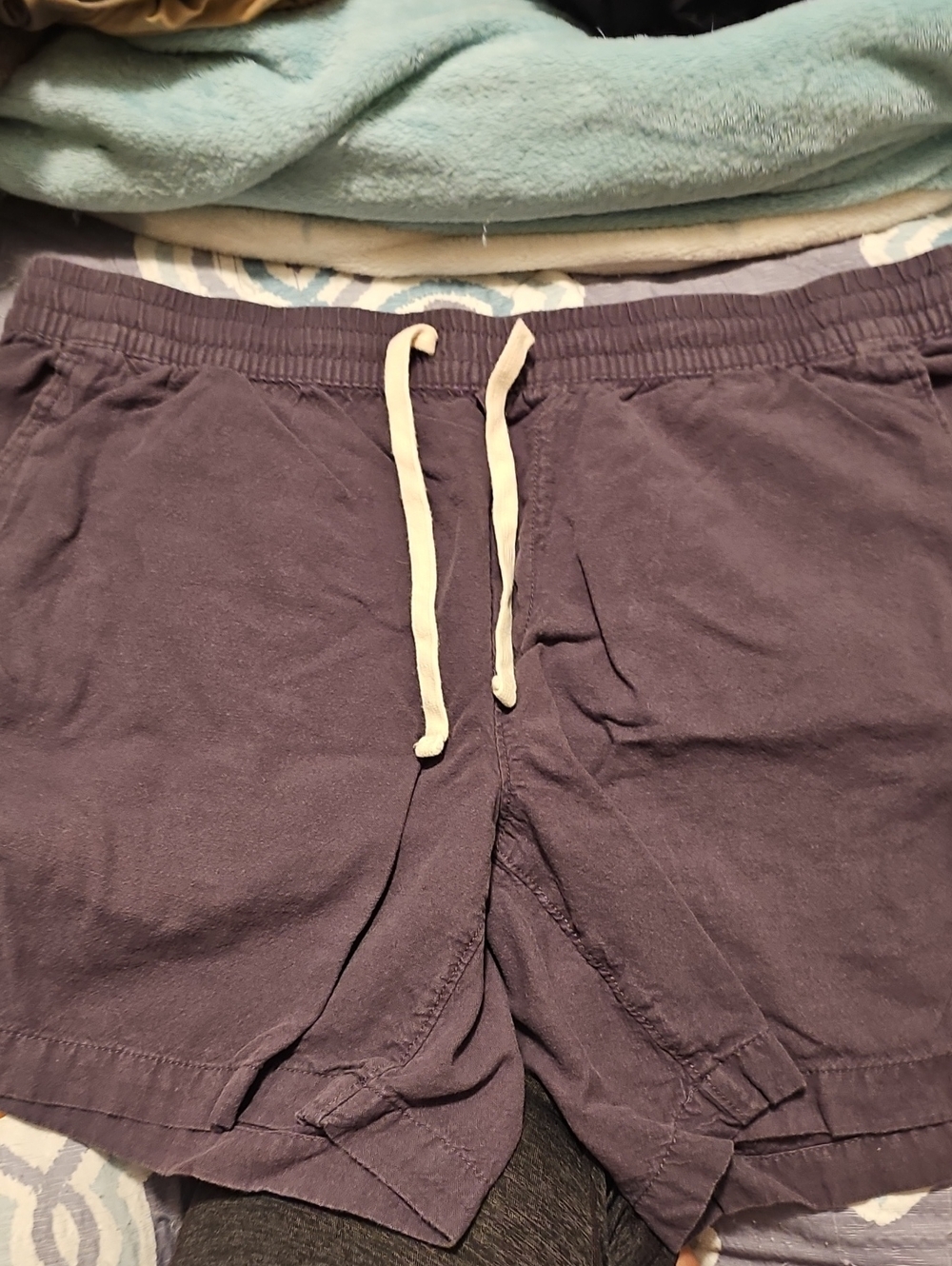 Men's Drawstring Flat Front Shorts in Purple